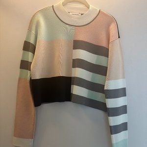 Club Monaco Colorblock Crop Sweater (size M)